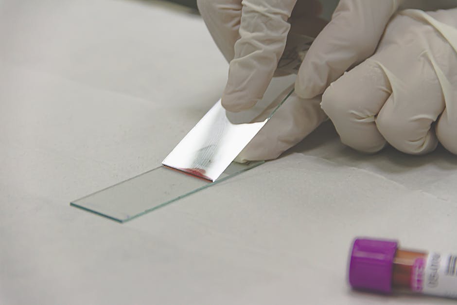 A Comprehensive Guide to Choosing the Right Microscope Slide Holder - American Mortuary Coolers & Equipments