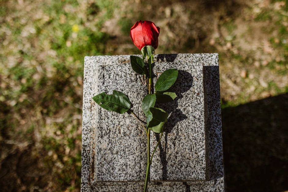 Detailed Guide to Red Wing Funeral Homes in Your Area - American Mortuary Coolers & Equipments