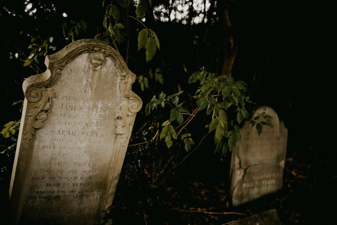 Everything You Need to Know About HBO The Mortician - American Mortuary Coolers & Equipments