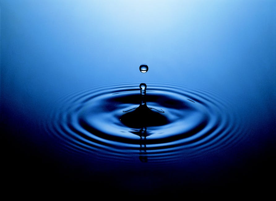 Pet Aqua Cremation: A Water-Based Farewell - American Mortuary Coolers & Equipments